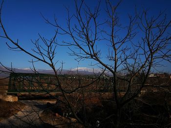 Bare tree against sky