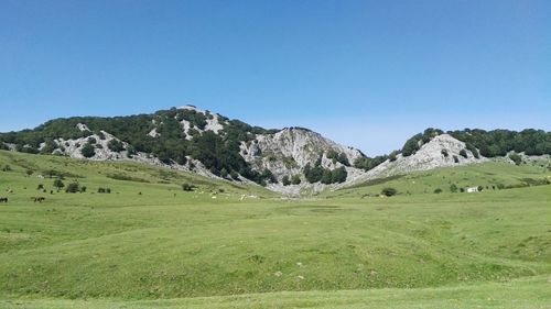 Scenic view of landscape and mountains against clear blue sky