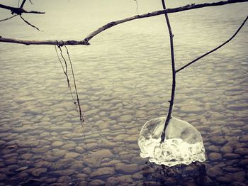 Water pipe on beach