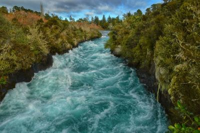 Waikato river amidst forest against sky