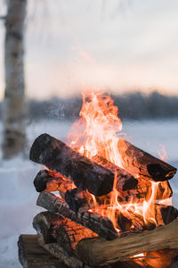 Close-up of fire burning in wood