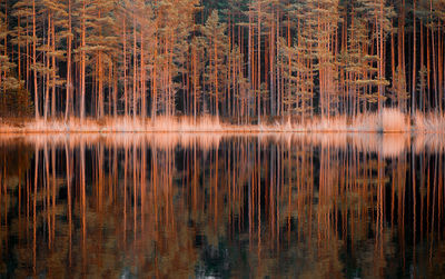 Full frame shot of lake