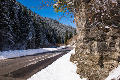 Snow covered road by trees against clear sky