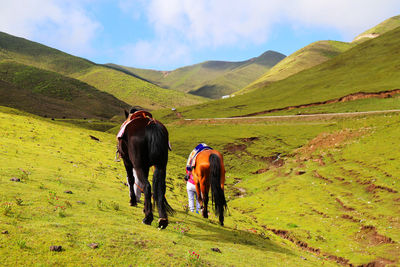 Horse grazing on field against sky