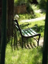 Empty chair on field in yard