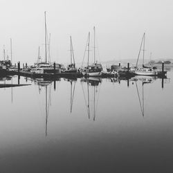 Sailboats moored at harbor against clear sky