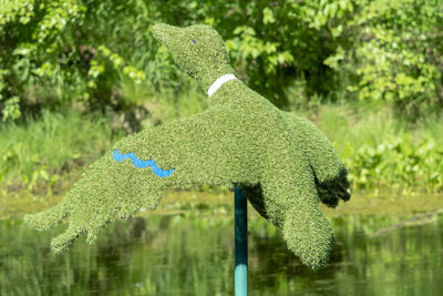 Close-up of fresh green plants in lake