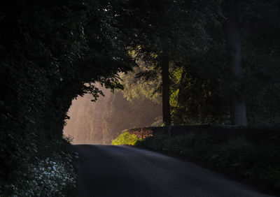 View of road amidst trees 