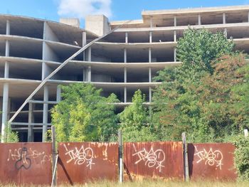 Potted plants against building