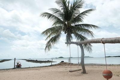 Palm trees on beach against sky
