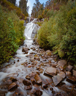 Stream flowing through rocks in forest