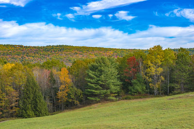 Brattleboro, vermont fall colors in the hills