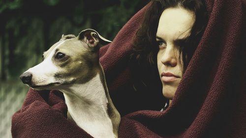 Close-up of dog looking away