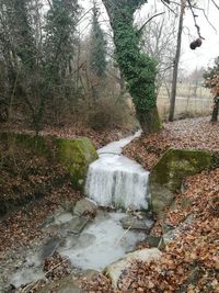 Scenic view of waterfall against trees