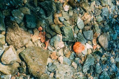 Full frame shot of rock