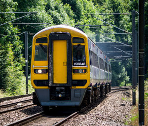 Train on railroad track by trees