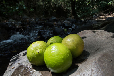 Close-up of fruits in water