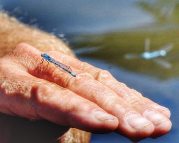 Close-up of people hands