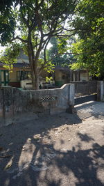 Footpath by trees in park