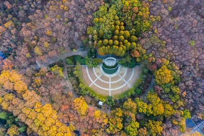 Aerial view of pavilion amidst trees