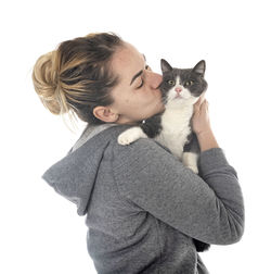 Full length of a cat