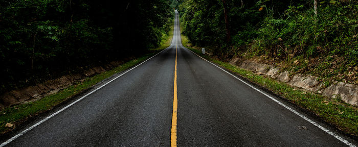 Empty road amidst trees in forest