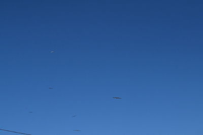 Low angle view of birds flying in sky