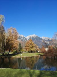 Scenic view of lake by trees against clear sky