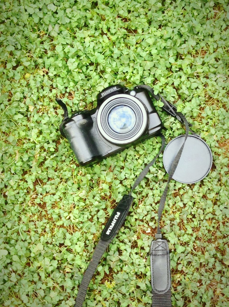 grass, green color, high angle view, metal, field, plant, growth, lawn, outdoors, grassy, freshness, nature, day, tranquility, obsolete, man made object, watering can