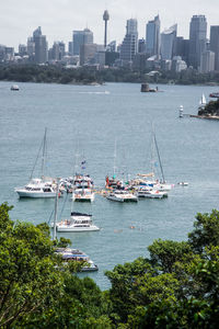 Boats sailing in sea