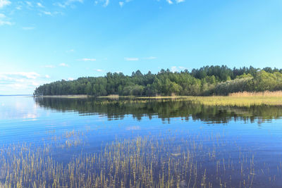 Reflection of trees in calm lake