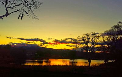 Silhouette of trees at sunset