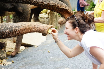 Side view of happy woman feeding elephant on field