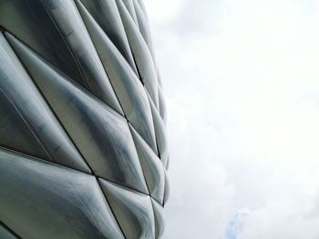 Close-up of tree against the sky