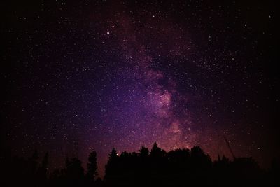 Low angle view of silhouette trees against star field at night