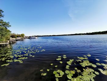 Scenic view of lake against clear blue sky