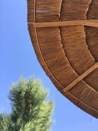 Low angle view of tree against blue sky