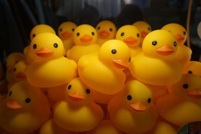 Rubber ducks at store for sale