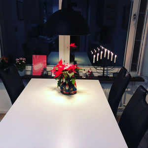 Potted plant on table in restaurant
