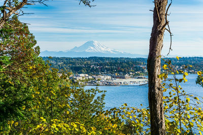 A view of mount rainier and des moines marina in autumn.