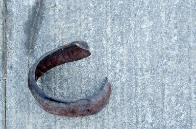 Directly above shot of rusty metal