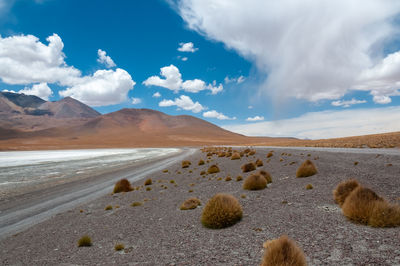 Scenic view of desert against sky