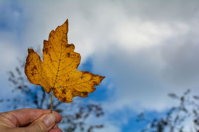 Autumn leaf held by a hand, against a cloudy and blue sky
