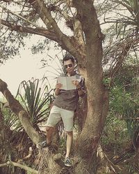 tree