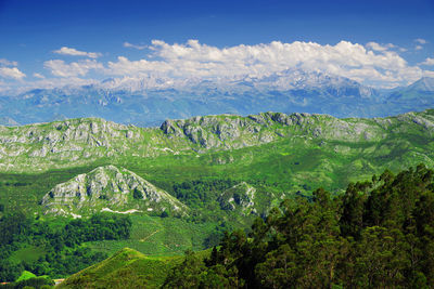 Scenic view of landscape against sky