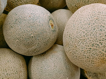 cantaloupe