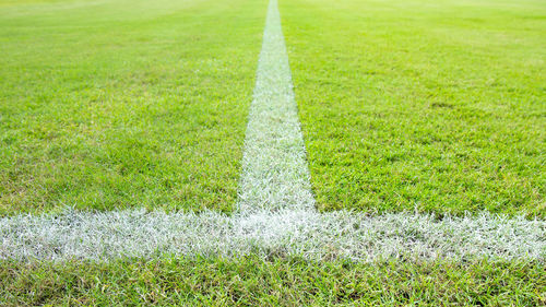 Full frame shot of green field