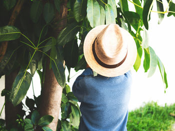Rear view of boy wearing cowboy hat against trees