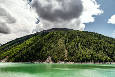 Scenic view of lake by trees against sky