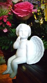 Close-up of white rose